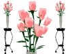 two tone coral rose