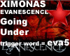 Evanescence-Going under