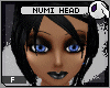 ~DC) Numi Head Derivable