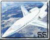 PRIVATE jet