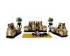 Tiger   ap couch