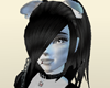 Scottish Fold Skin [Y]