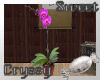 Japanese Orchid