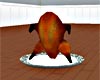 !live-Turkey
