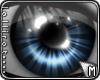 *L� iLune Blue M