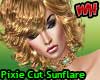 Pixie Cut Hair Sunflare