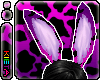 Purple CowPrint Bunny