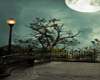 .NA Night Lamp Backdr. 2
