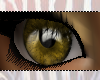 Yellow Eyes {F} By redzebras
