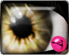 MORF Mist Eyes Brown