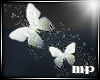 Butterfly Border (L)