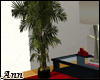 ANN Indoor Palm2