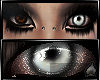 http://userimages03-akm.imvu.com/productdata/images_1a778834130d9a80c81cea137901d728.gif