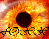Hells Gate eyes