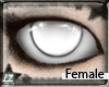 Z7 Ghost Eyes F