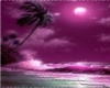 *Chy* Purple Paradise(F)