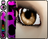 Kieta's Bronze eye