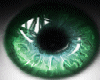 t| Green Shine Eyes Male