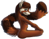 red panda
