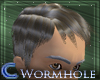 [*]Wormhole Leader Hair