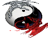 Ying-Yang Dragons