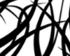 chnm