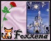 Disneyland ! { card }