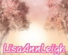 LAL Romance