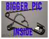 *H* Safety pin stickie