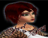 Short&Sexy *bloodred*