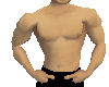 [RS] Muscular top