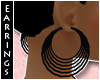 :DW: Black Earrings