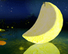 FAIRY MOON LAKE