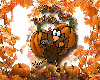 TomTurkey