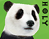 My Little Dwarf Panda