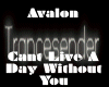 Avalon-Cant Live A Day