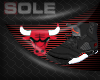 Hypebeasts X Raging Bull