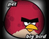 GO-Kranky angry bird big