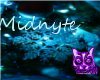 Midnyte's stocking