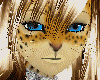 Purrr-Fection