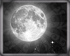 The Moon