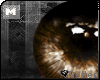 `r M iHypnosis | Brown