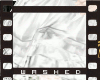 WD::Shiro ::