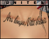 {U} Life is short Latin