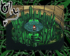 Emerald Crystal Pool