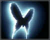 Black Butterfly