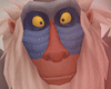 .π Rafiki Costume