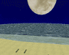  ~ Empty Beach ~
