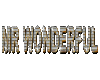 Mr Wonderful Bling