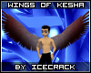 Wings Of Kesha